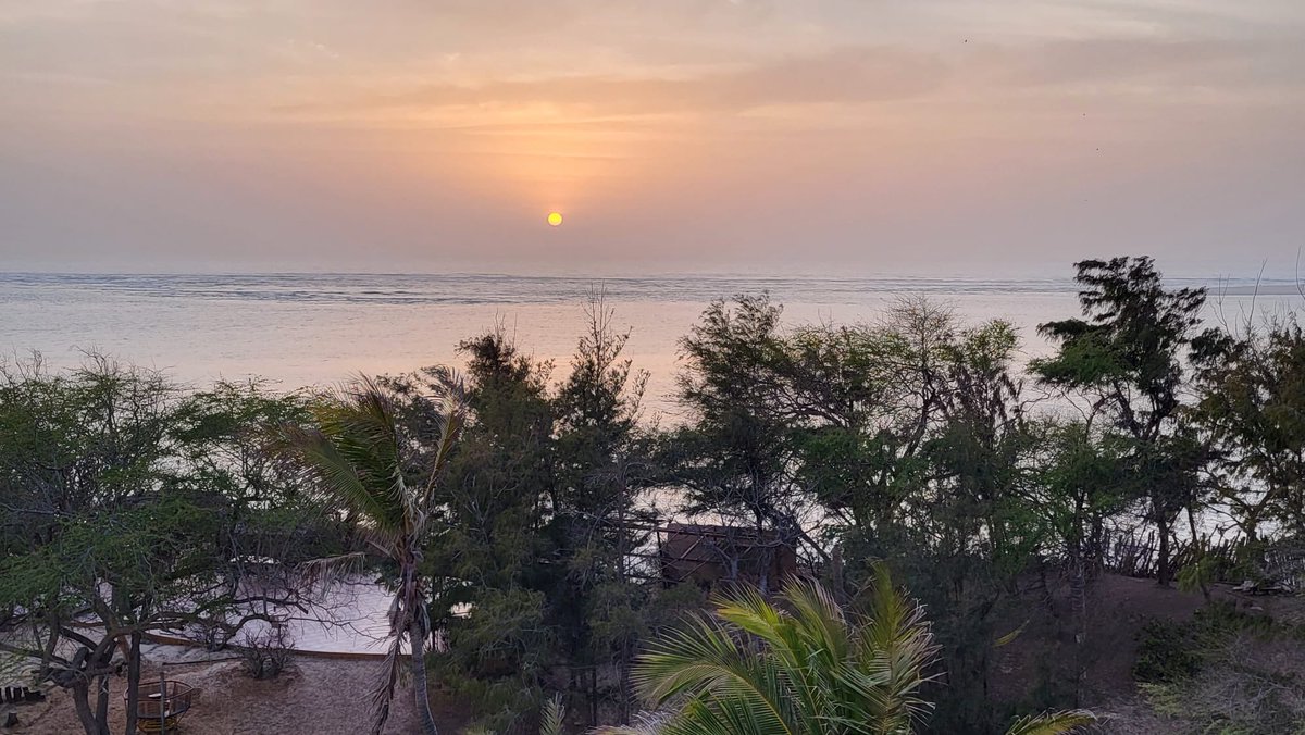 C_no_borders's tweet photo. #FOTO expedition are in #Dakar, #Senegal, back at the #ZebraBar. Time for a little bit of R&amp;R after the gruelling miles on the road from #Guinea. Still a very long way to #Scotland! @sachadench  #FlightOfTheOsprey #TogetherWeFly https://t.co/vXpwf6DEx7