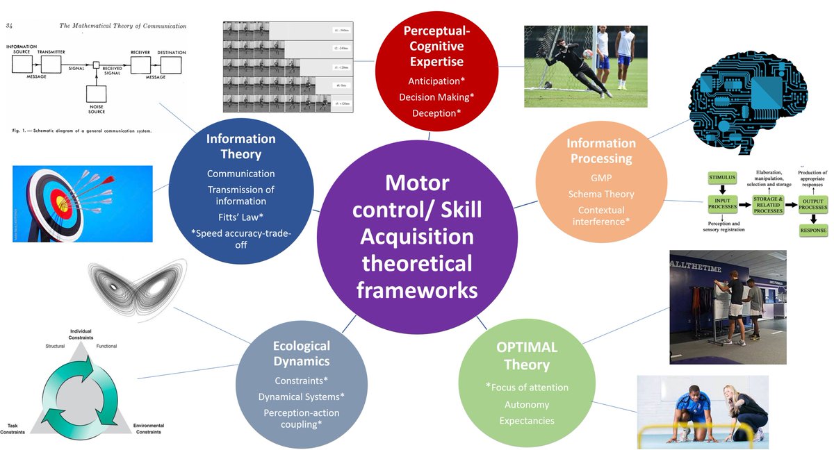 Digs_Tweets's tweet photo. Infographic from my new @uniofglos lecture content, overviewing Motor Control and Learning frameworks applicable to sports performance and coaching!

@_UKCoaching @BASES_Biomech @basesuk @ESAN_Network https://t.co/xyDHyB5ToX