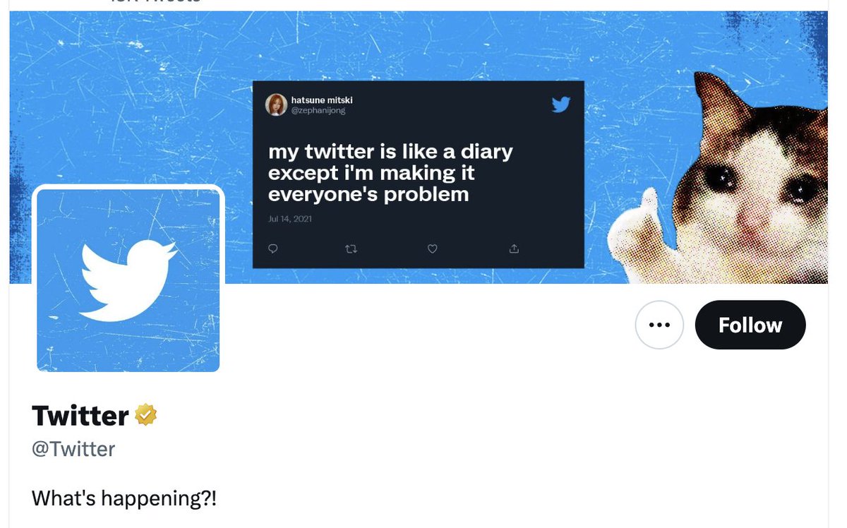 catecoin's tweet photo. Has anybody seen the Twitter cover image?
With #Cate anything is possible
#Cate came, #Cate purred, #Cate conquered❤️ https://t.co/ldvpIQhVMQ