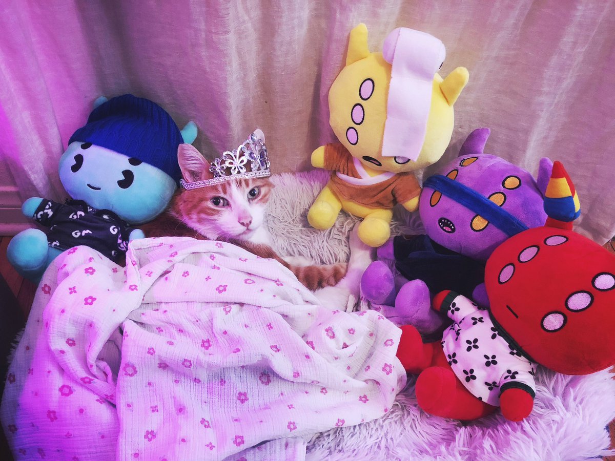 GM from <a href="/alienfrens/">alien frens</a> and Lily’s cat Lil Boy 😻✨🤩 Hope everyone has a great Friday and an awesome weekend!