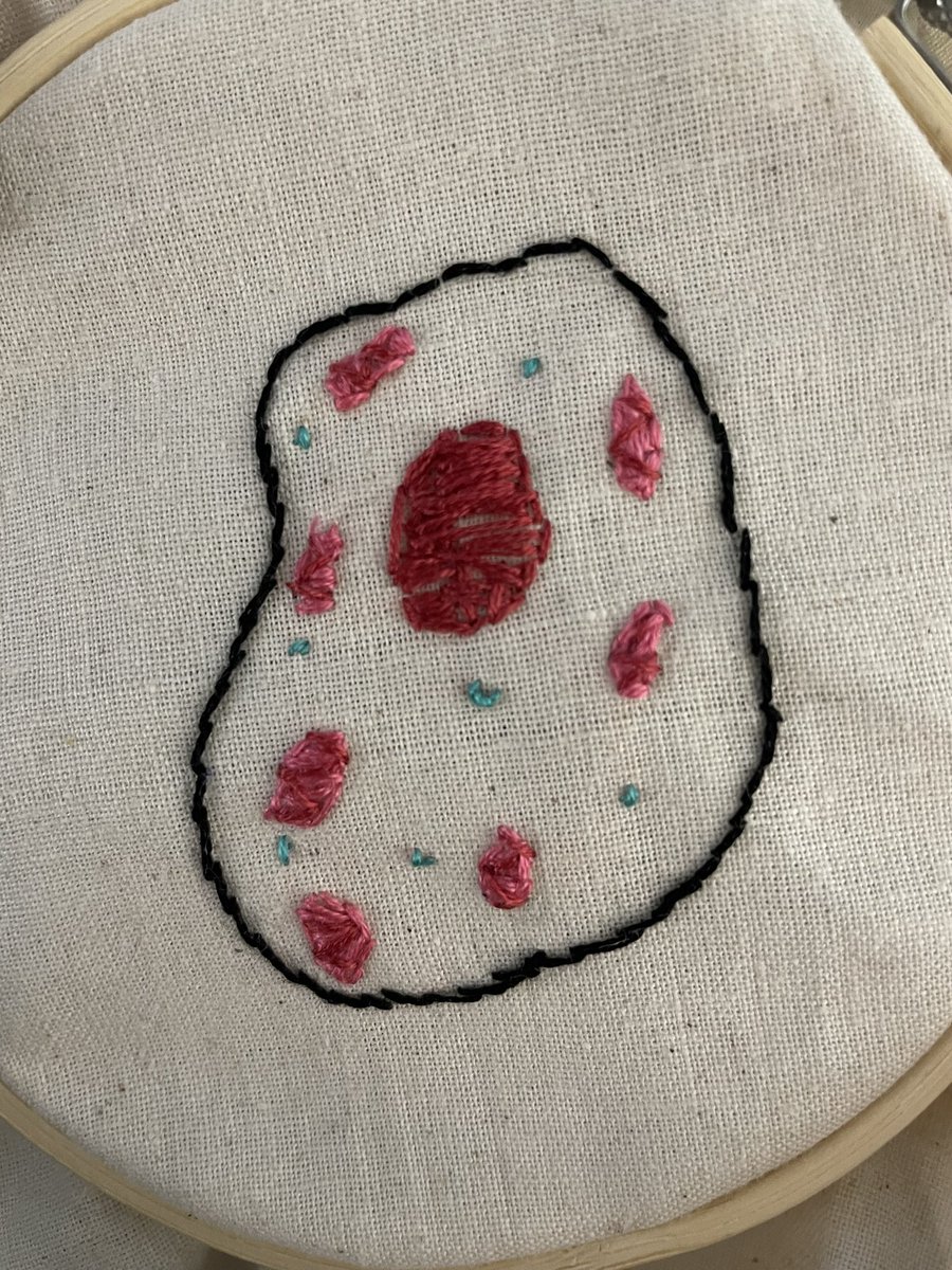 tinysciencetea1's tweet photo. This may be a little addictive. #educraft #science #embroidery https://t.co/cMKsD7G0Dk