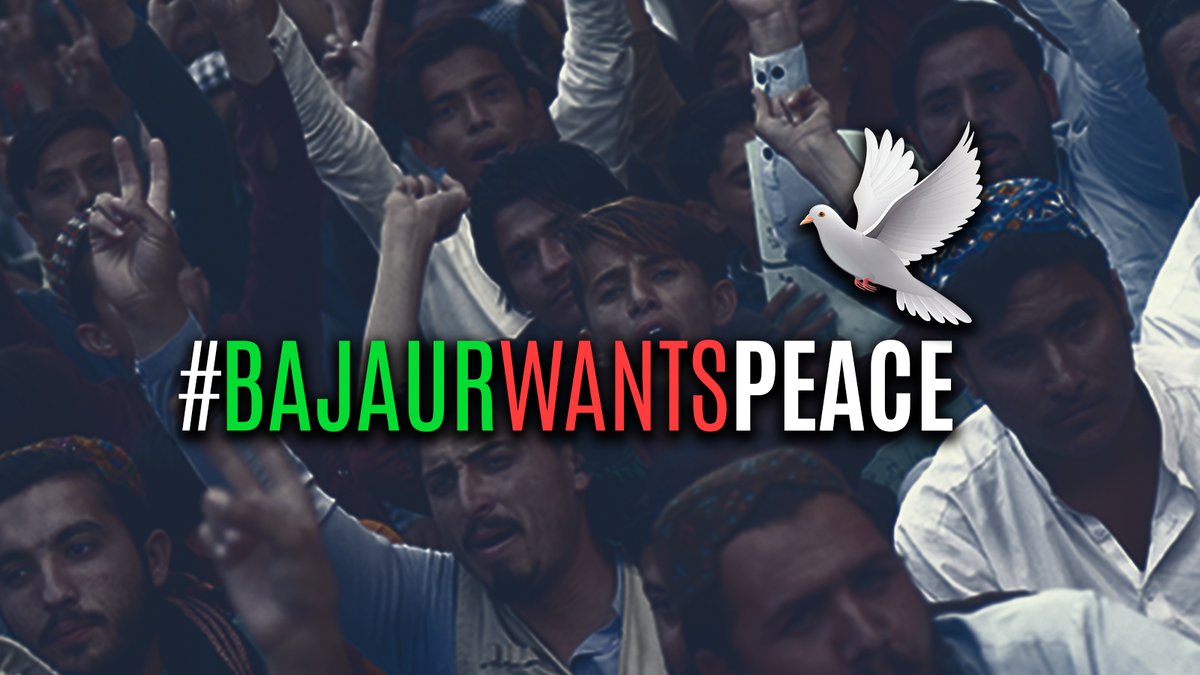 NoorUllahJan_'s tweet photo. The message is loud and clear  PEACE 🕊️ #BajaurStandForPeace 
.
.
.

@gulzafarkhan @RehanZeb21 @Dr_Obaidkhan https://t.co/OaJyBgMdFS