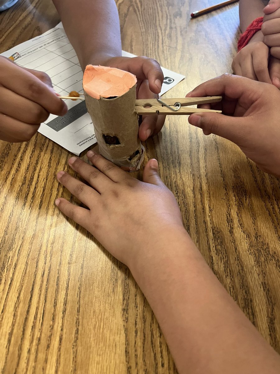 Martinezin3rd's tweet photo. Exploring the structures and function of bird beaks today in science! 🦆🐦‍⬛🦅#4thgrade @CarrolltonElem https://t.co/nCGEhsM6S3