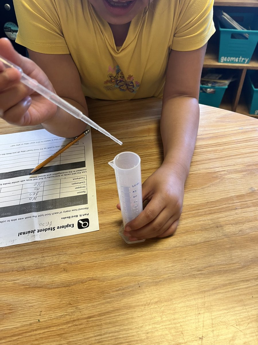 Martinezin3rd's tweet photo. Exploring the structures and function of bird beaks today in science! 🦆🐦‍⬛🦅#4thgrade @CarrolltonElem https://t.co/nCGEhsM6S3