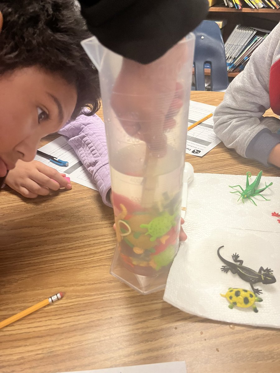 Martinezin3rd's tweet photo. Exploring the structures and function of bird beaks today in science! 🦆🐦‍⬛🦅#4thgrade @CarrolltonElem https://t.co/nCGEhsM6S3