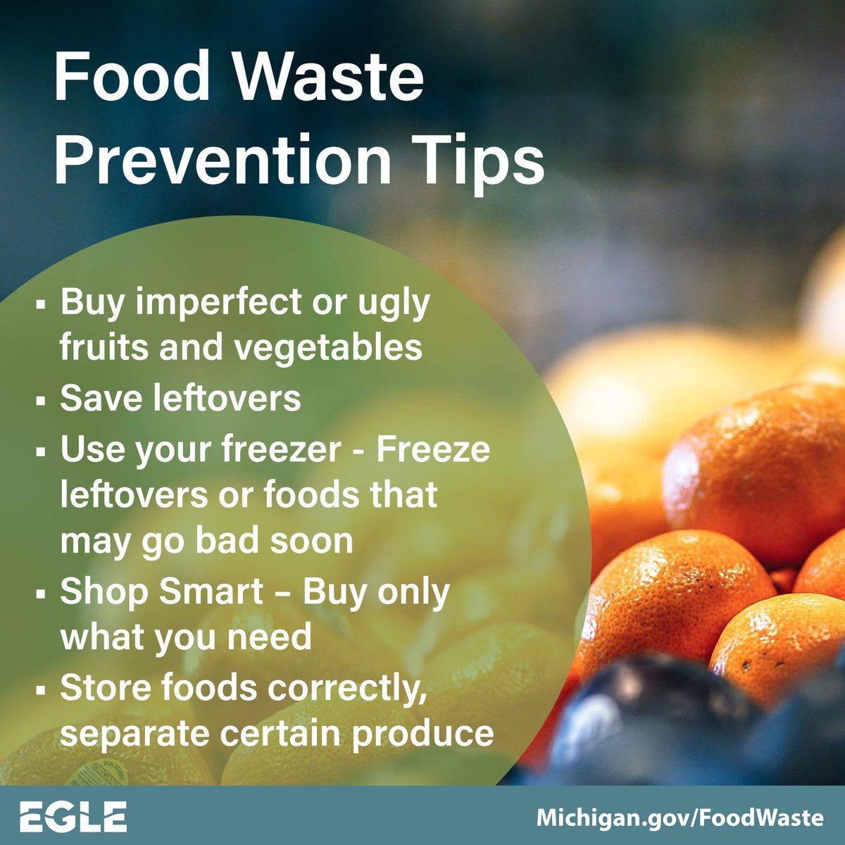 MichiganEGLE's tweet photo. Reducing the amount of food you waste saves you money and helps protect the environment.

Check out these tips to #SaveFoodSaveMoney and take the Food Hero Pledge: https://t.co/HGXm0bjOFZ

#FoodWastePrevention #SaveTheFood https://t.co/GwkKfqYqNR