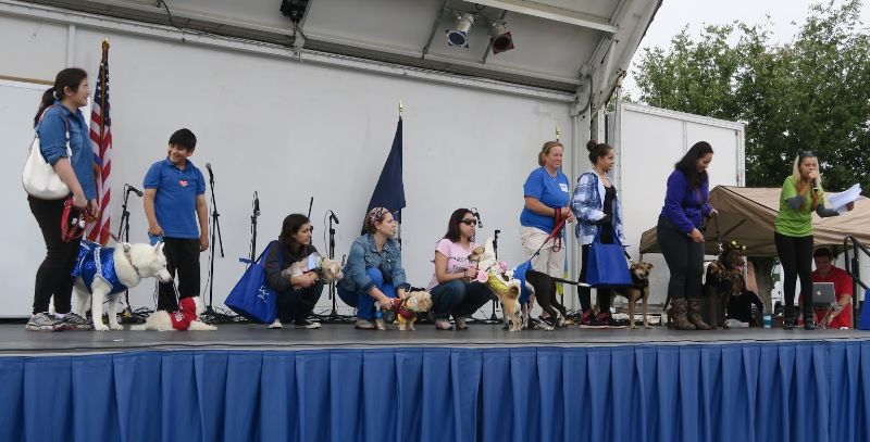 TASTE OF ANNANDALE’S FAVORITE PET CONTEST is Back!  Register your Pet Now!  Seven New Categories ,16 Prizes, a Total of $1,500 up for grabs! - mailchi.mp/chicosnaturalp…