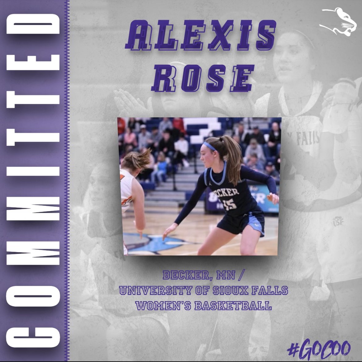 Alexis Rose tweet media