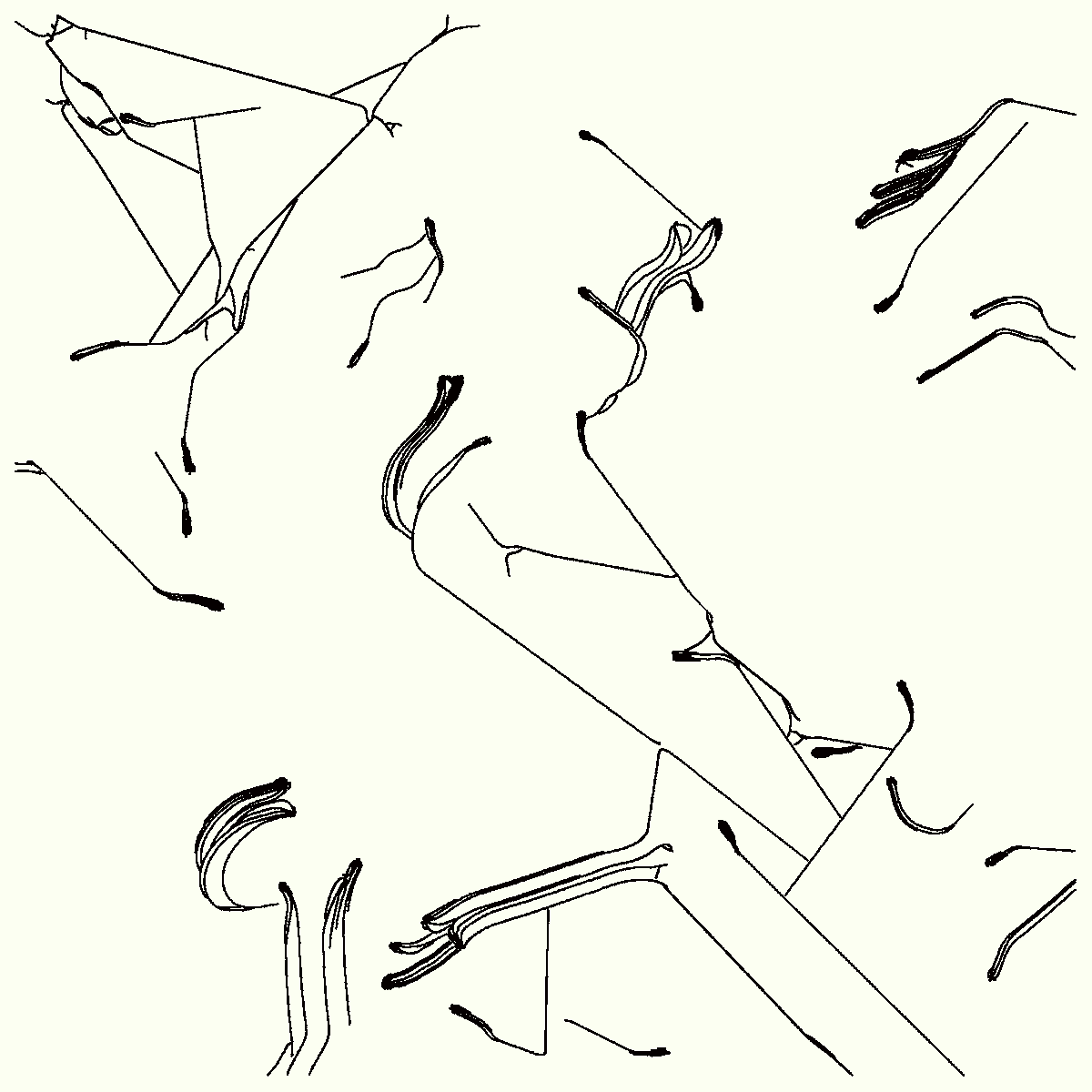 20230414150004 (522 snails)