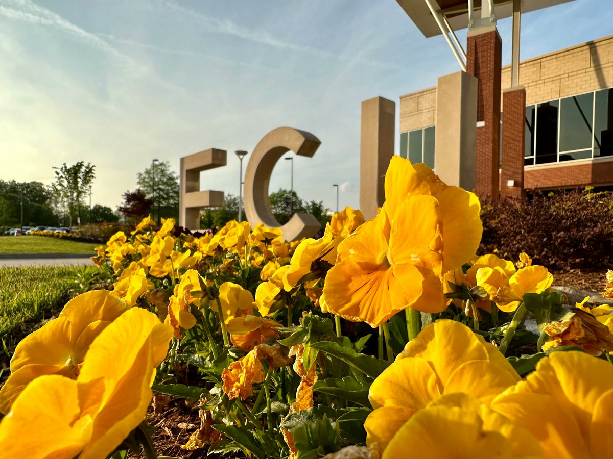 ECU on Twitter "RT ecustepp The golden hour 💛 ☀️ ECUViews"