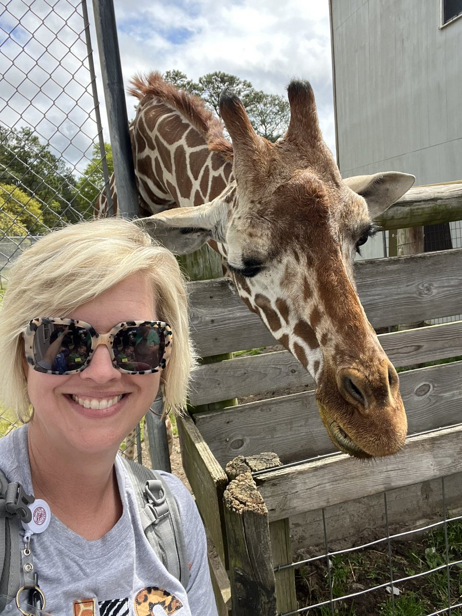 talleyevans's tweet photo. We had the best day at Aloha Zoo with our kinders today! #wesstrong @WendellMagnetES https://t.co/VHztdyL5kW