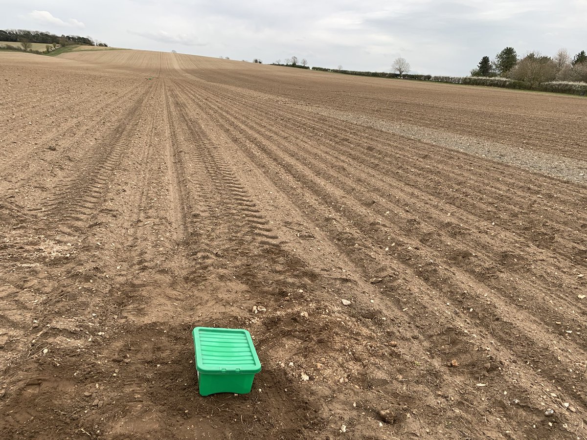 Christopher Pearce tweet media