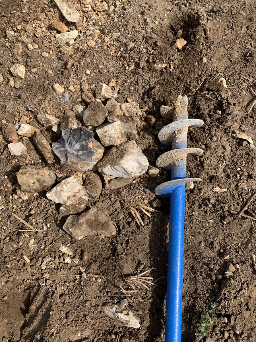 Christopher Pearce tweet media