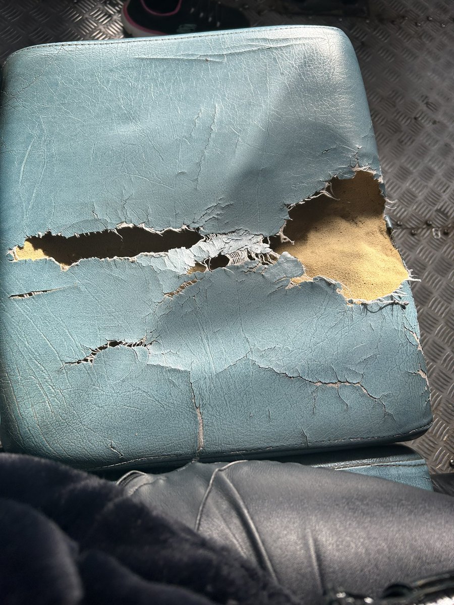 Maite Orozco tweet media