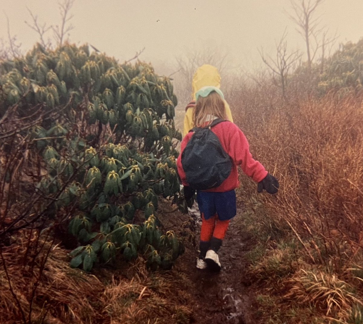 Christine Woodside tweet media