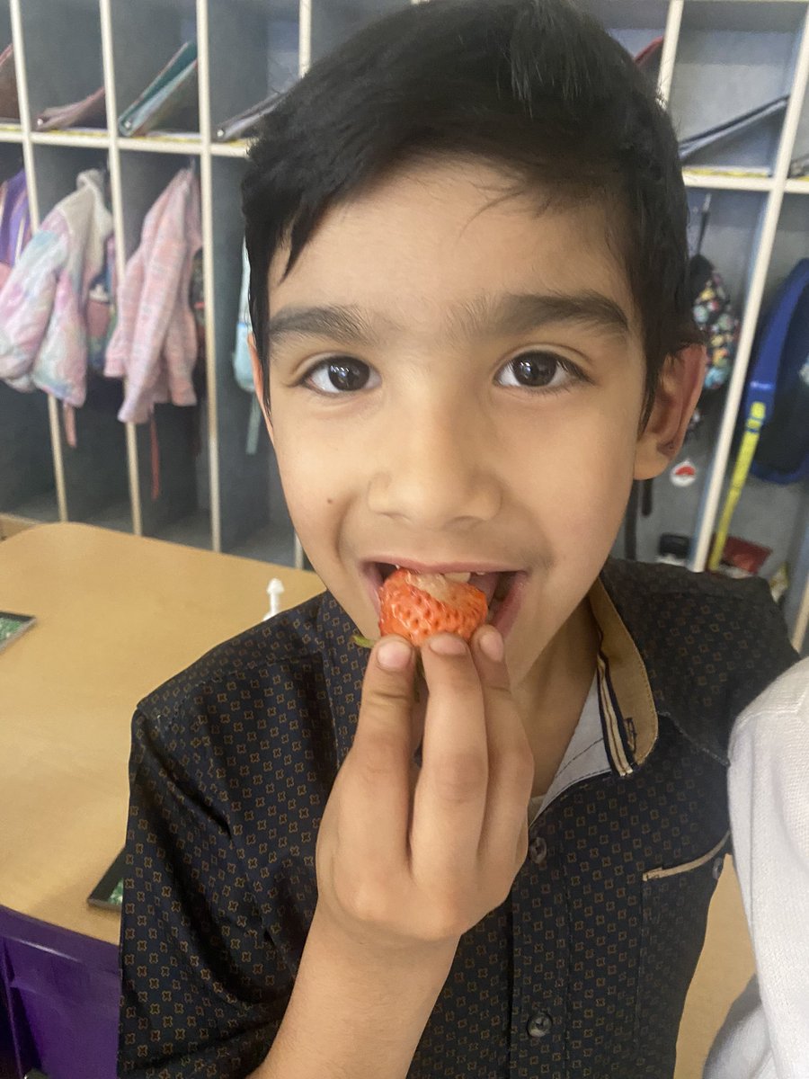 Ms. Vidal tweet media