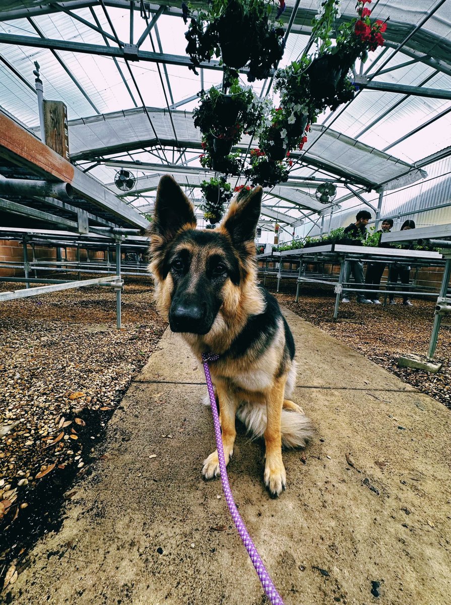 Katie Knapp tweet media