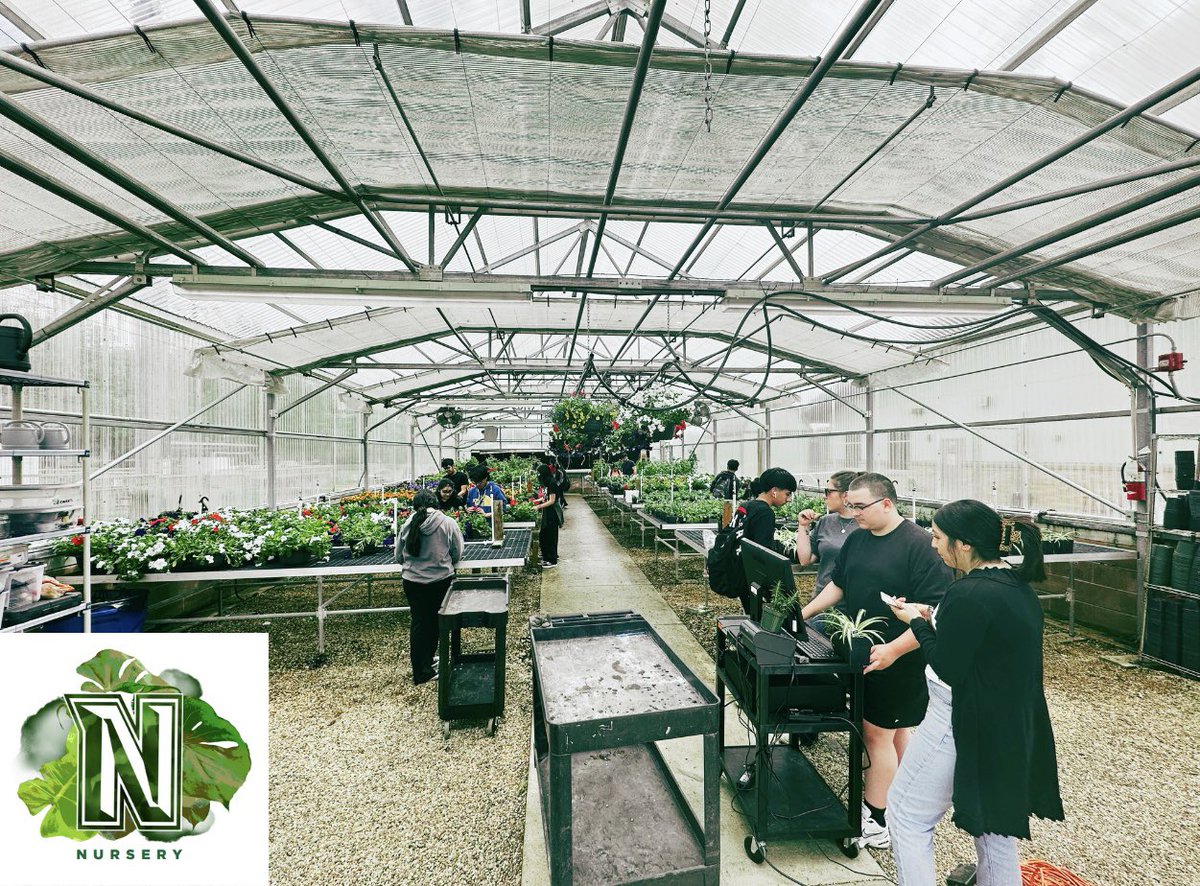 Katie Knapp tweet media