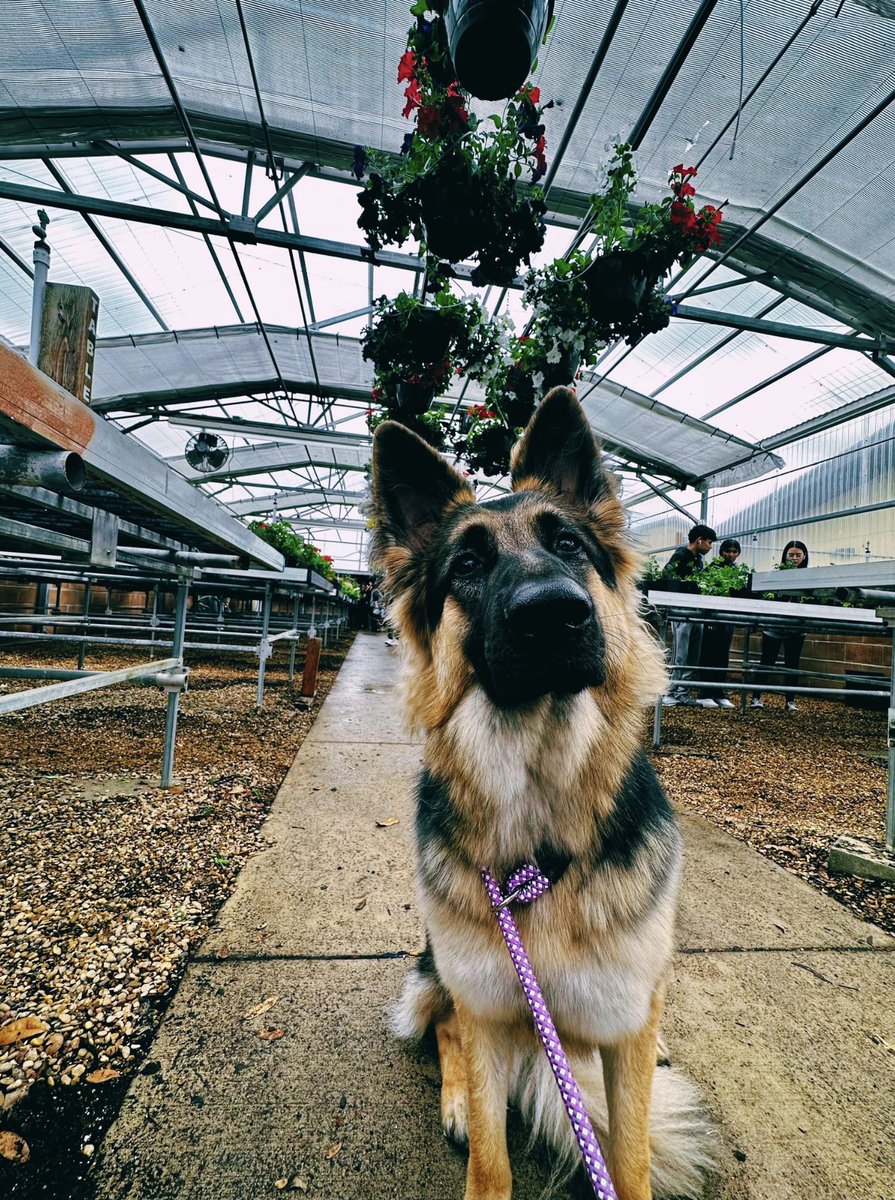 Katie Knapp tweet media