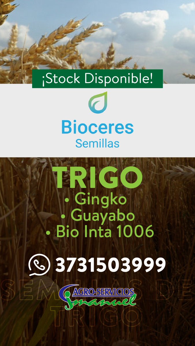 Precampaña de trigo ya disponible en nuestras sucursales