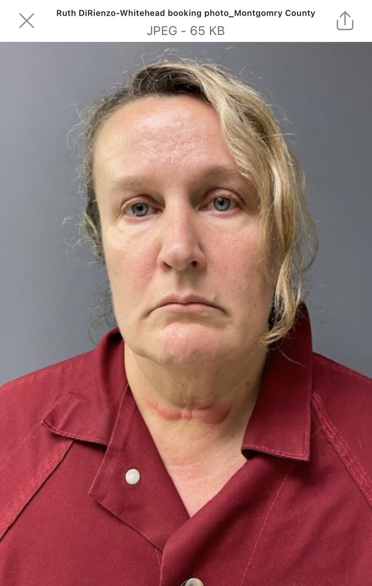 Steve keeley on twitter ruth dirienzo s newest booking photo now