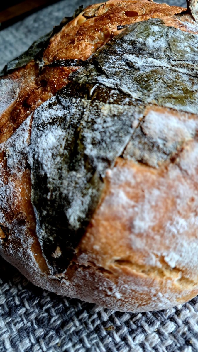 Ivycottagebaker's tweet photo. Wild garlic heaven at Ivy Cottage Baker a sourdough, a tin loaf and a focaccia #scratchandsniff #baking #breadmaking #breaducation #breadporn https://t.co/dJvtiySiMx