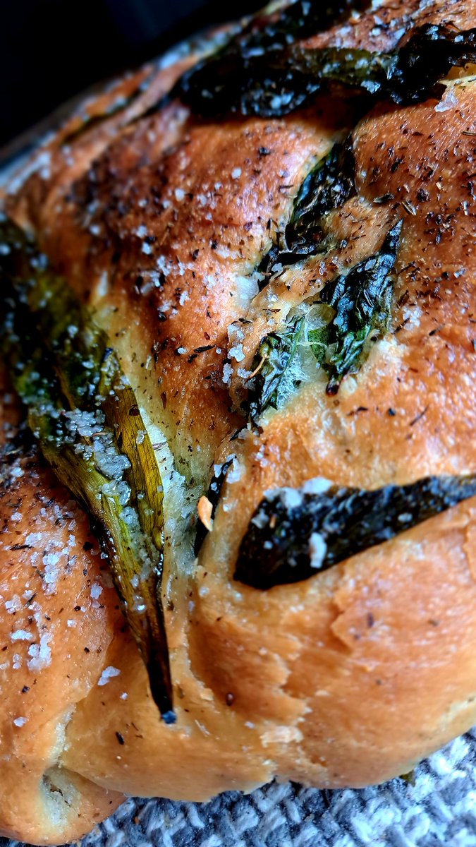 Ivycottagebaker's tweet photo. Wild garlic heaven at Ivy Cottage Baker a sourdough, a tin loaf and a focaccia #scratchandsniff #baking #breadmaking #breaducation #breadporn https://t.co/dJvtiySiMx