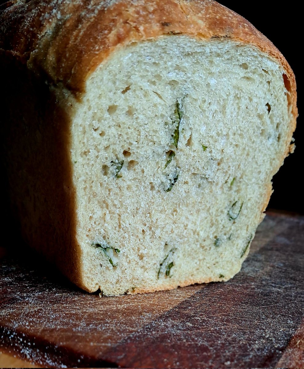 Ivycottagebaker's tweet photo. Wild garlic heaven at Ivy Cottage Baker a sourdough, a tin loaf and a focaccia #scratchandsniff #baking #breadmaking #breaducation #breadporn https://t.co/dJvtiySiMx