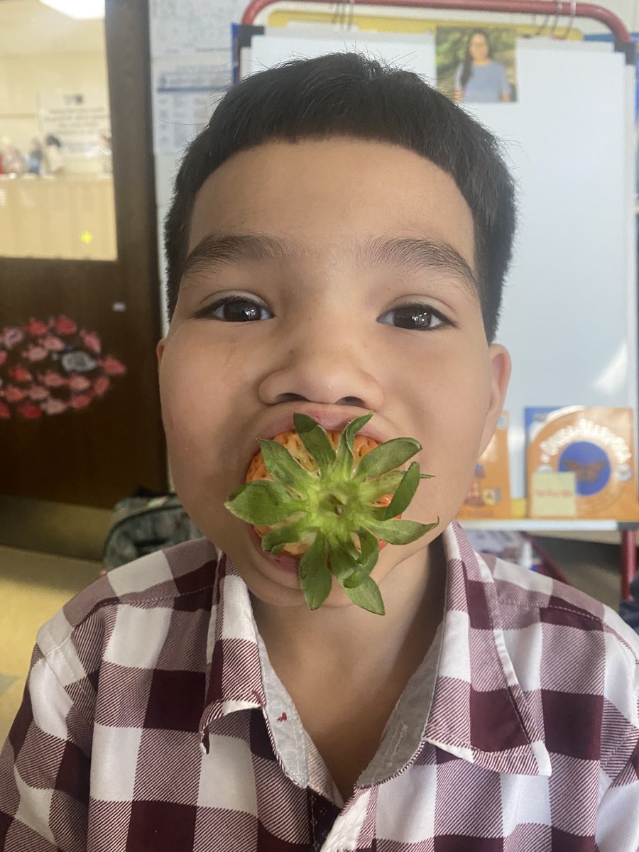 Ms. Vidal tweet media