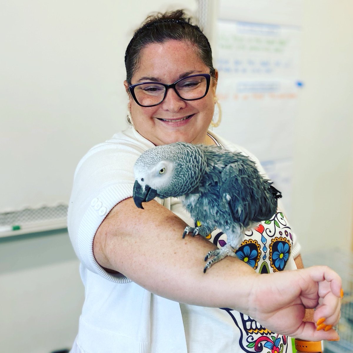 Courtney Lund Spangenberg tweet media