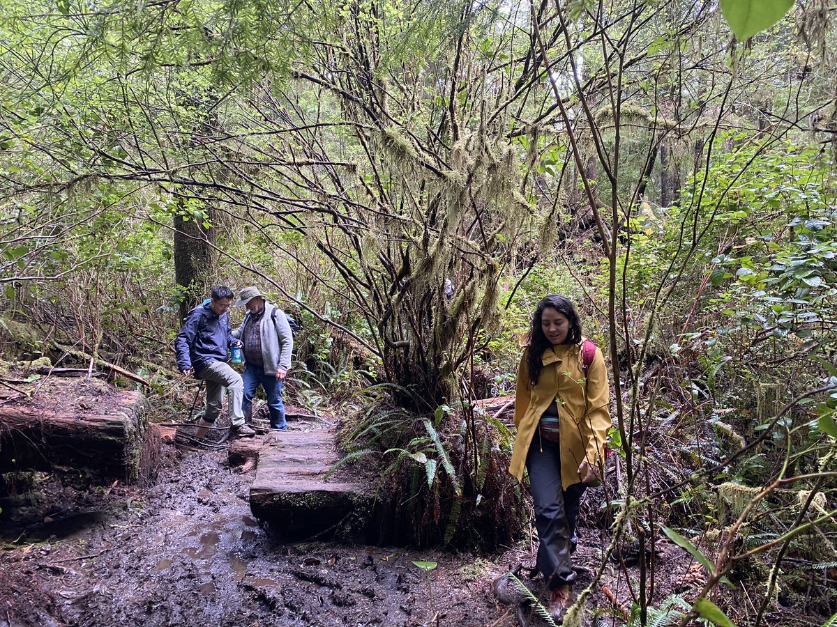 Klintuni tweet media