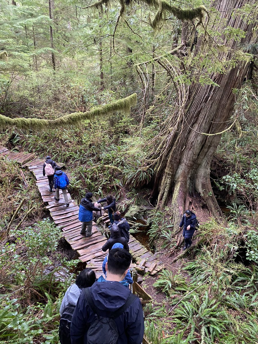 Klintuni tweet media