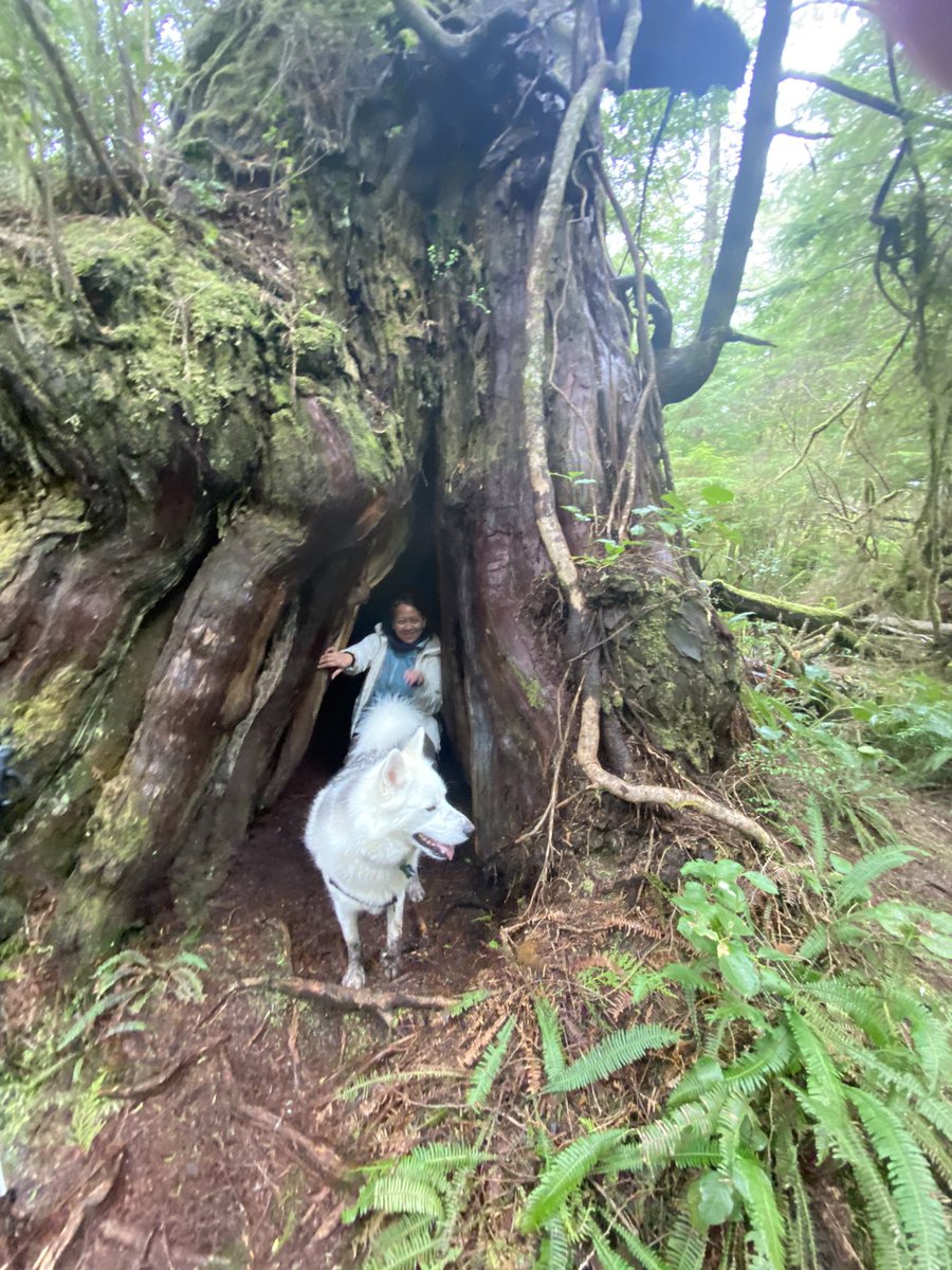 Klintuni tweet media