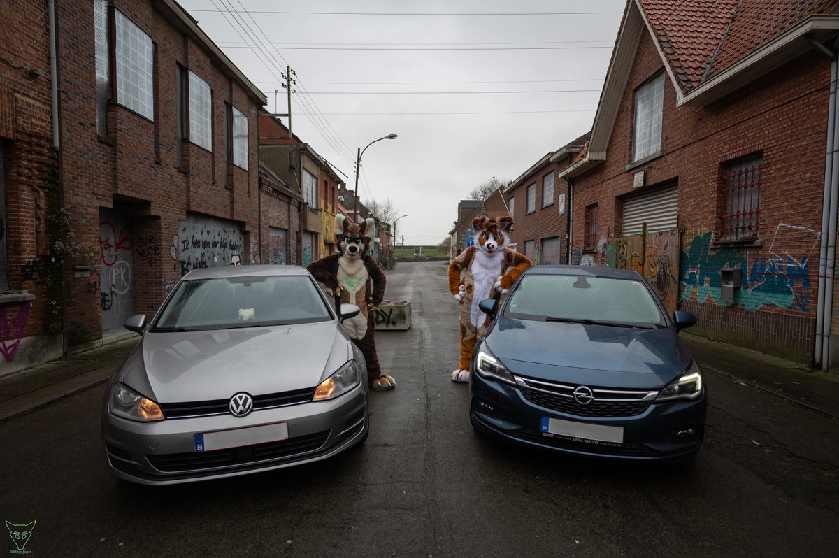 Lexie Doggo tweet media