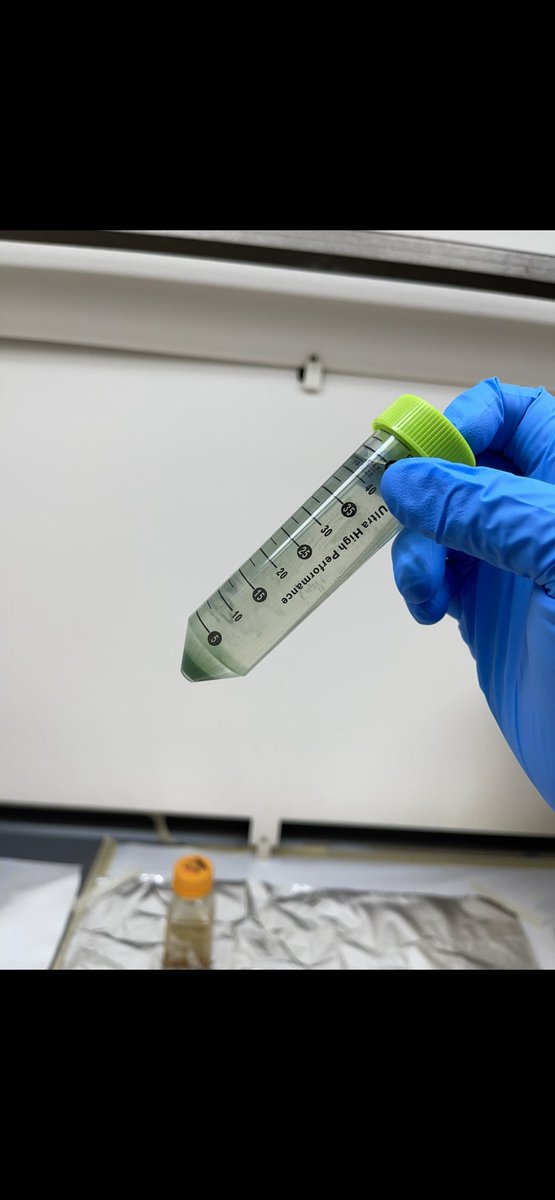 Jsperling91's tweet image. Who wore it better, neptunium or plutonium? #fblockrocks