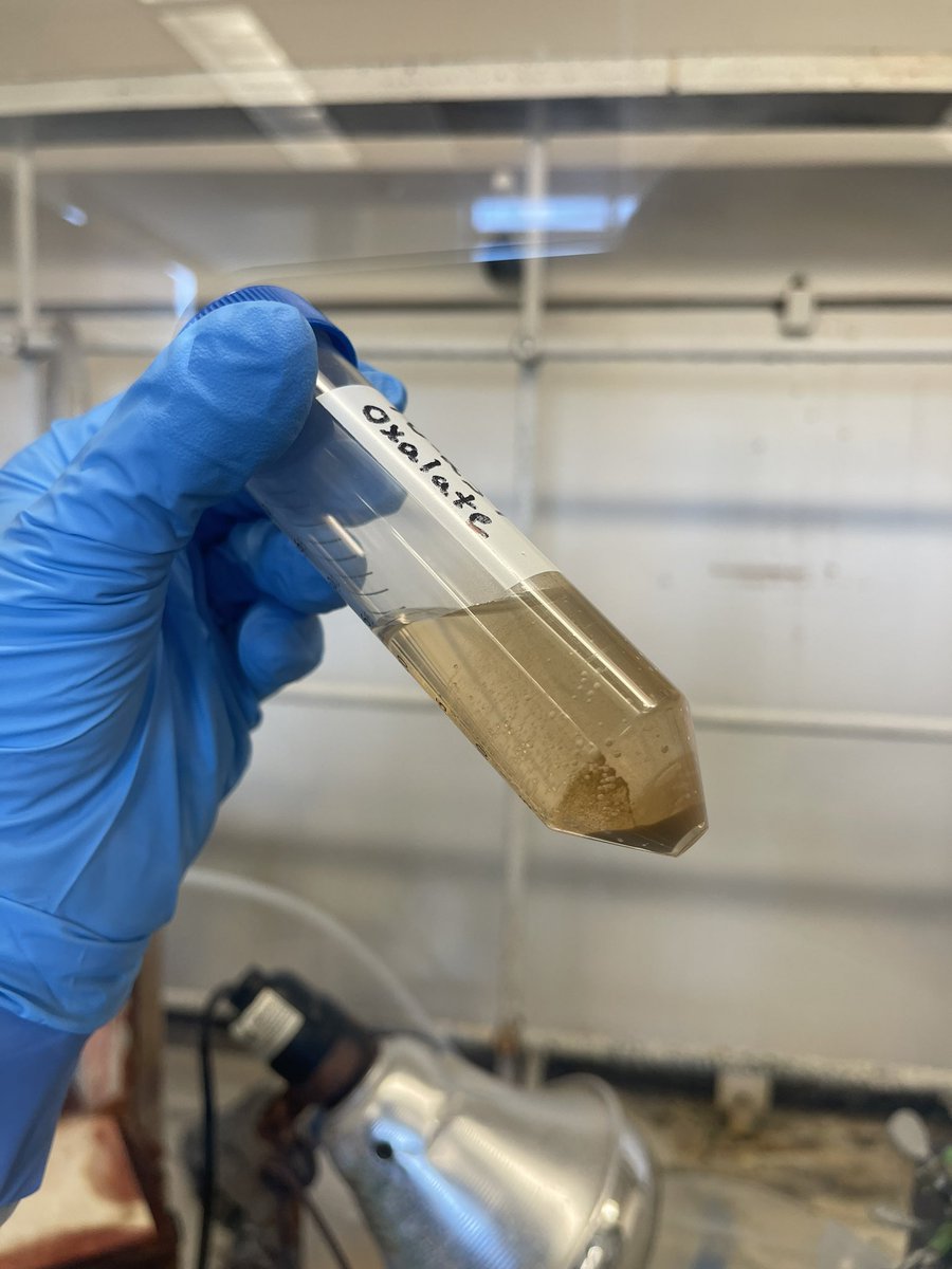 Jsperling91's tweet image. Who wore it better, neptunium or plutonium? #fblockrocks