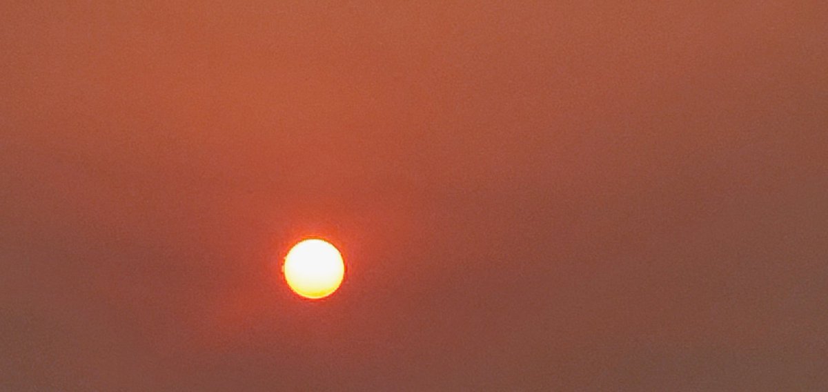 Nature's wonders. Sun on the palm trees. The panoramic view of Nature's Unity.