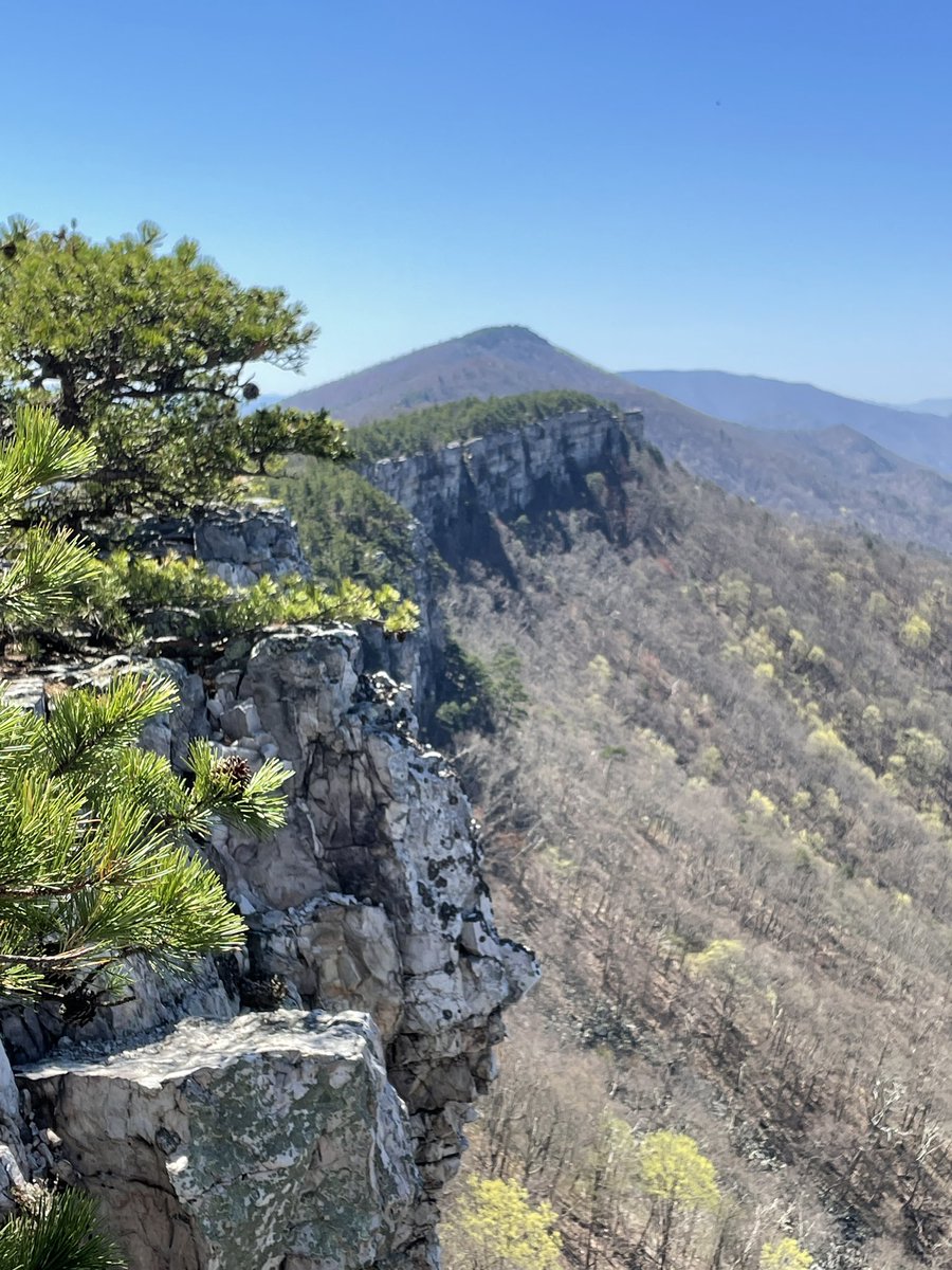 marschall_joe's tweet image. Flagging and tagging fire scars IRL on #FireScarsFriday, a rare treat! #centralAppalachiansRock! and #wherewasntfrequentfire?