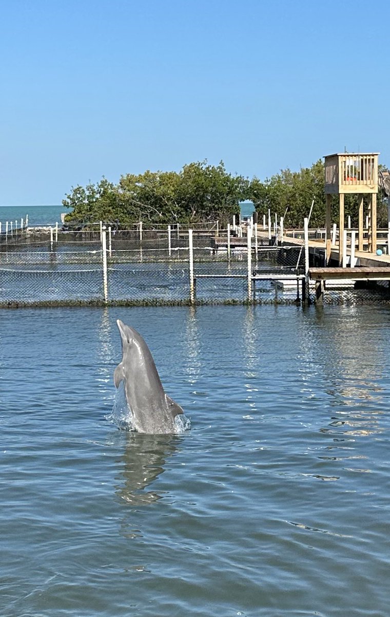 BML (@brianluse1) on Twitter photo 