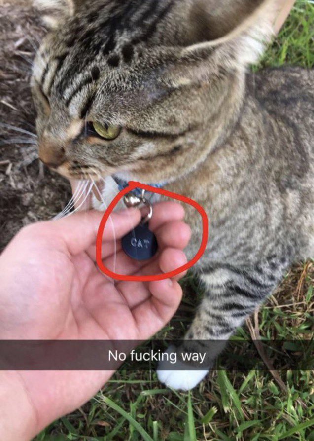 🕐HOURLY🕑 shitpost tweet media