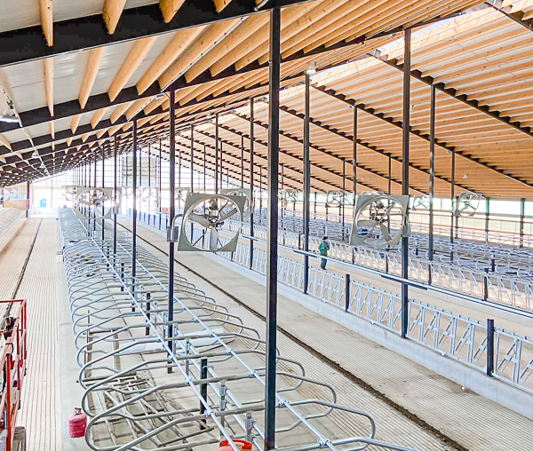 Performance_Fab's tweet image. The Performance Fab crew is getting it done today at Sunny Slope Farm - hanging new bracketing and installing fans in the new freestall barn addition. Cows will be coming in early next week!

#performancefab #freestallbarn #customfab #ventilation #sunnyslopefarm