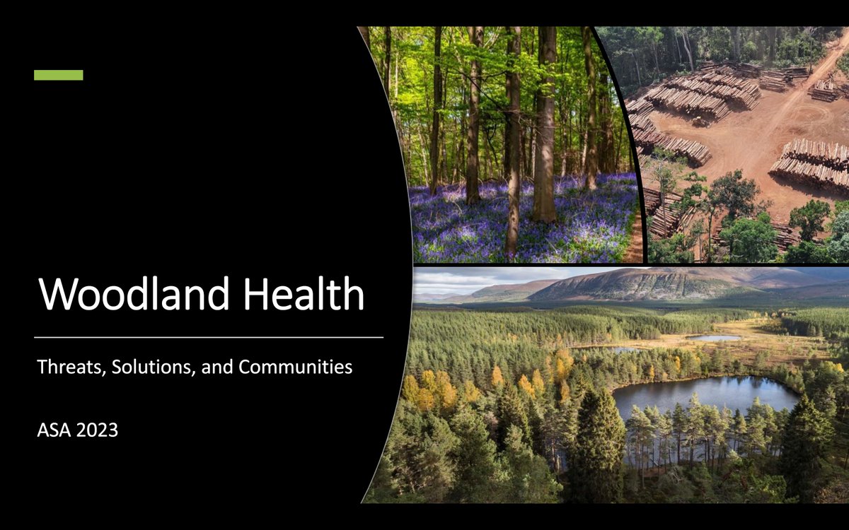 FUTURE OAK tweet media