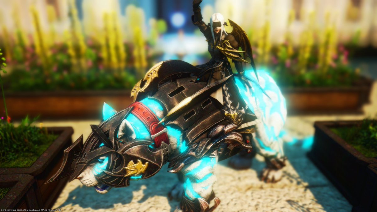 lordsnes's tweet photo. Yaay we did it. 
Look at this awesome Mount. 
4 * Times Eureka Orthos done with the awesome Team:
- @MorganaShiro 
- @MeoniYouTube 
- @FranboZILLAH 
Thank you guys. 
Next Stop will the Garden Item + Plate. https://t.co/7sevUeg0T2