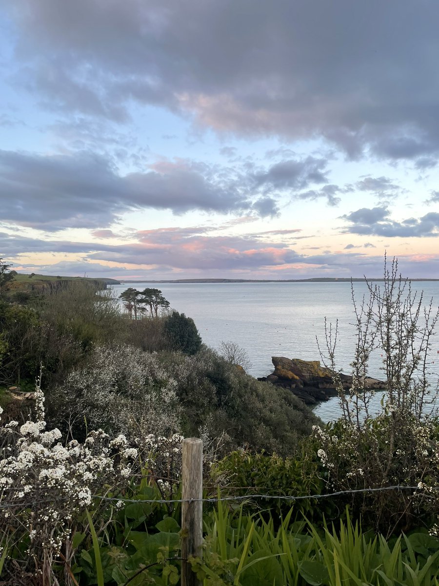 MailoPower's tweet image. #Sunset one foot in front of the other 🚶🏼‍♀️

#dailywalking #DunmoreEast #Waterford