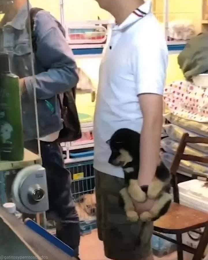 💖 (@twaniimals) on Twitter photo 