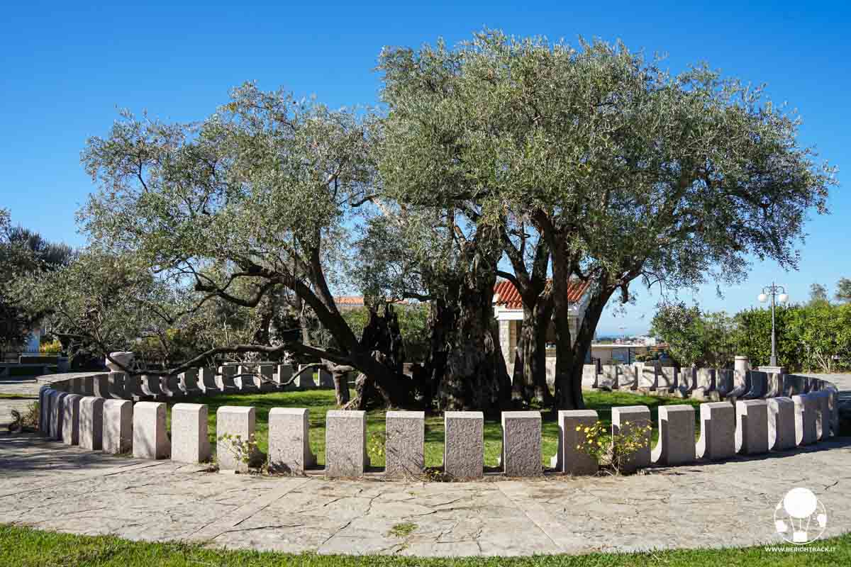 BeRightBackIT's tweet image. ⚡️Nuovo post⚡️
Curiosità sul Montenegro

berightback.it/curiosita-sul-…

Ecco le 25 curiosità sul #Montenegro che secondo me vi faranno venire voglia di partire subito 🇲🇪