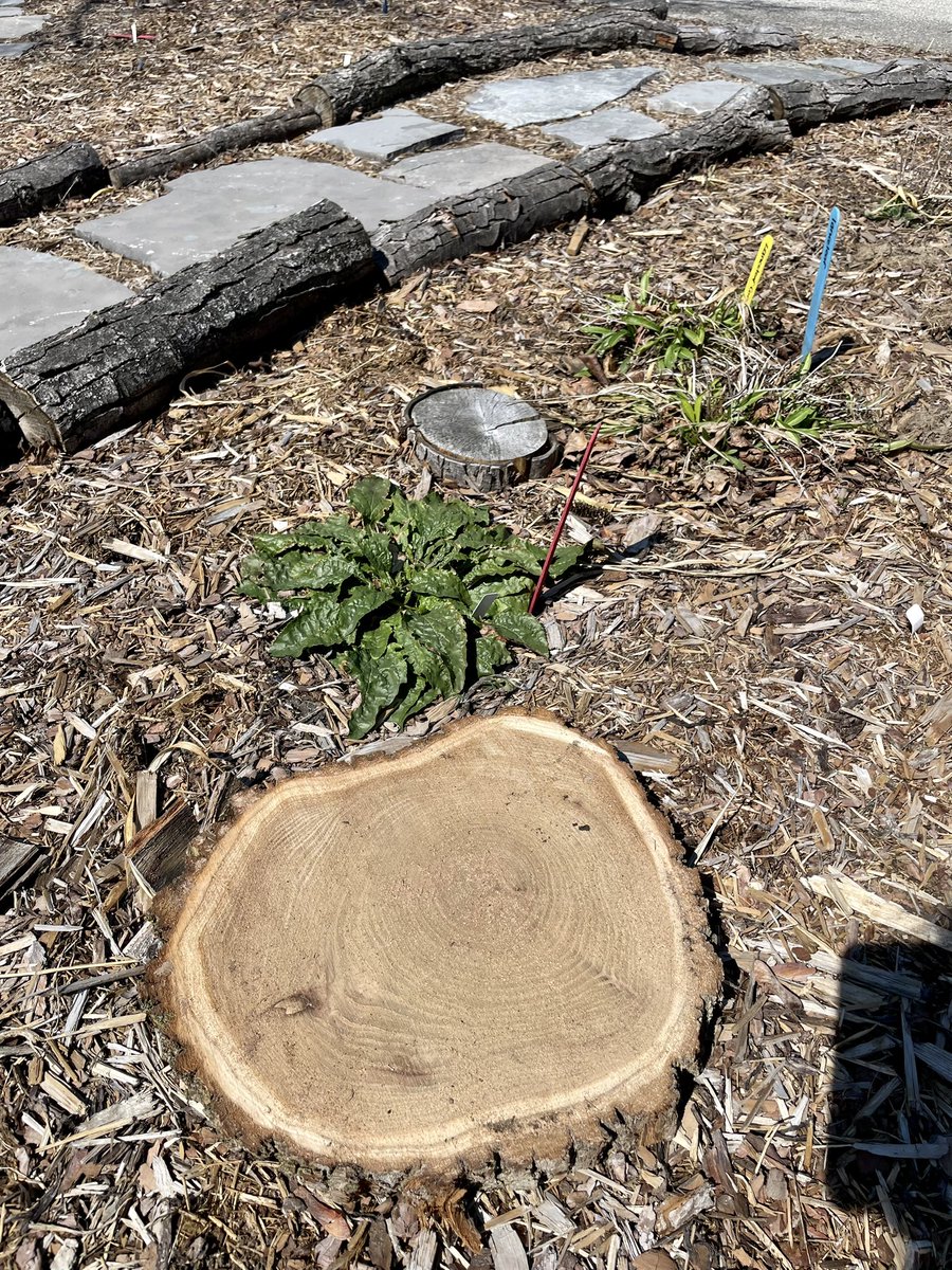 Heather Doyle tweet media