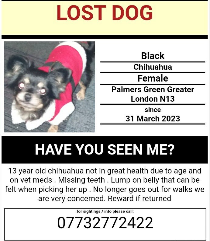 #Winchmorehill #pondersend #barnet #enfield #palmersgreen #stolen #stolendog #lost #missing