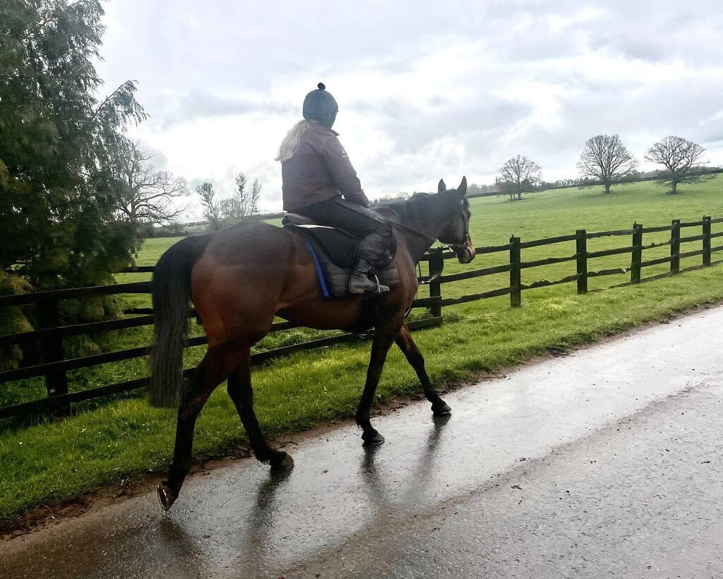 CLOUDY GLEN taking a long look this morning before beginning his Grand National journey tomorrow. 🏇 instagr.am/p/CrBxN-UNGZd/