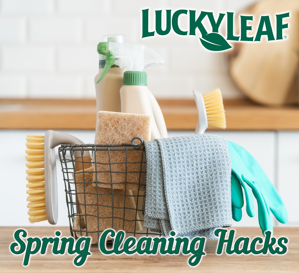 luckyleaf's tweet image. Spring is here, and it's time to give our kitchens some love! What are your favorite kitchen spring cleaning hacks? Share your tips and tricks in the comments below! #SpringCleaning #KitchenHacks #CleanKitchen